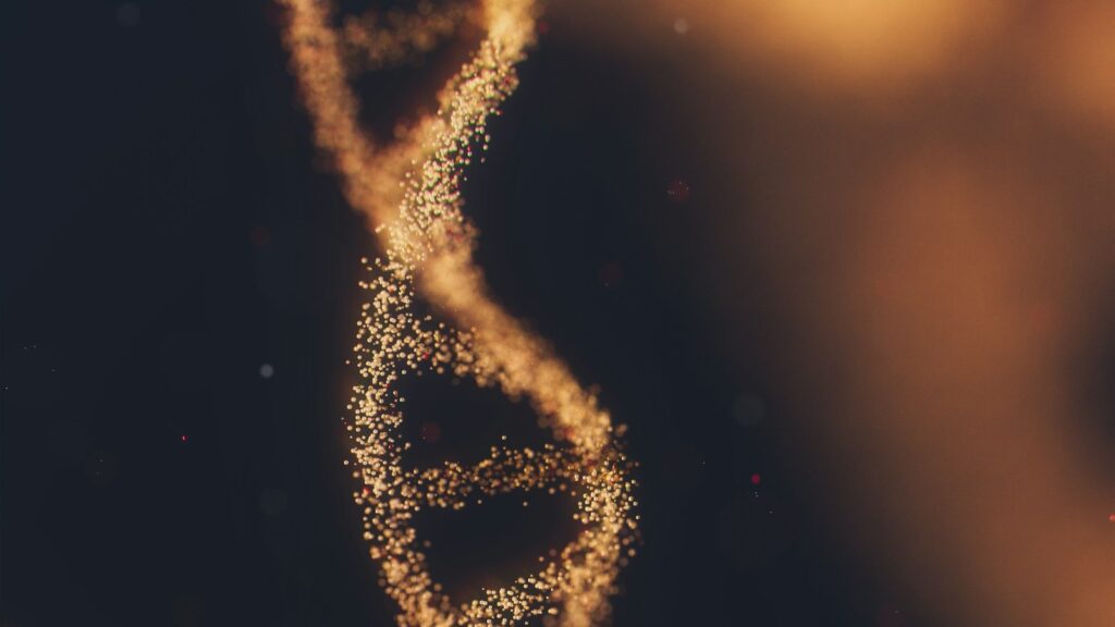 Anti-Aging Peptides: What the Research Actually Shows 1 Golden render of a DNA double helix