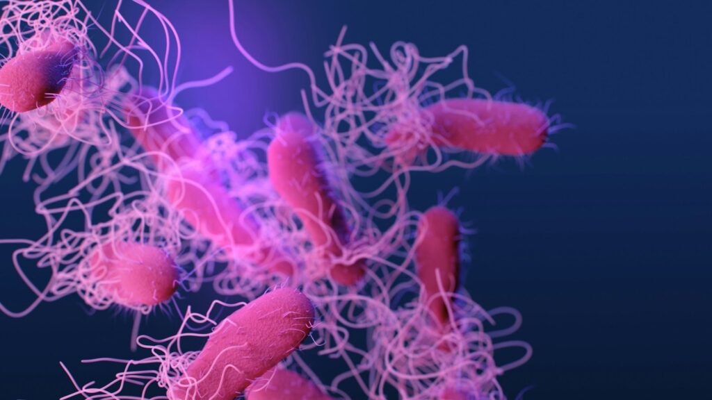 Antimicrobial Peptides Explained: Defensins, Cathelicidins and LL-37 1 Medical illustration of drug-resistant Salmonella bacteria