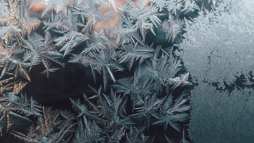 Branching ice crystals spread across a window pane with soft daylight behind them