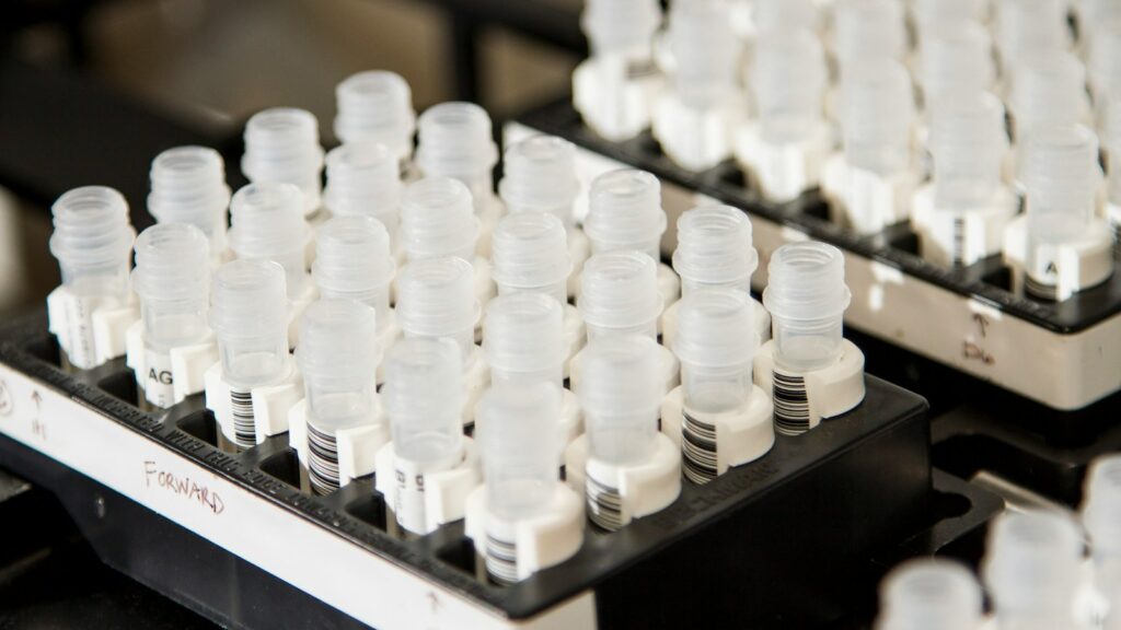 Buying Research Peptides in Bulk: A Canadian Lab Guide 1 Rows of labelled sample vials on a laboratory shelf