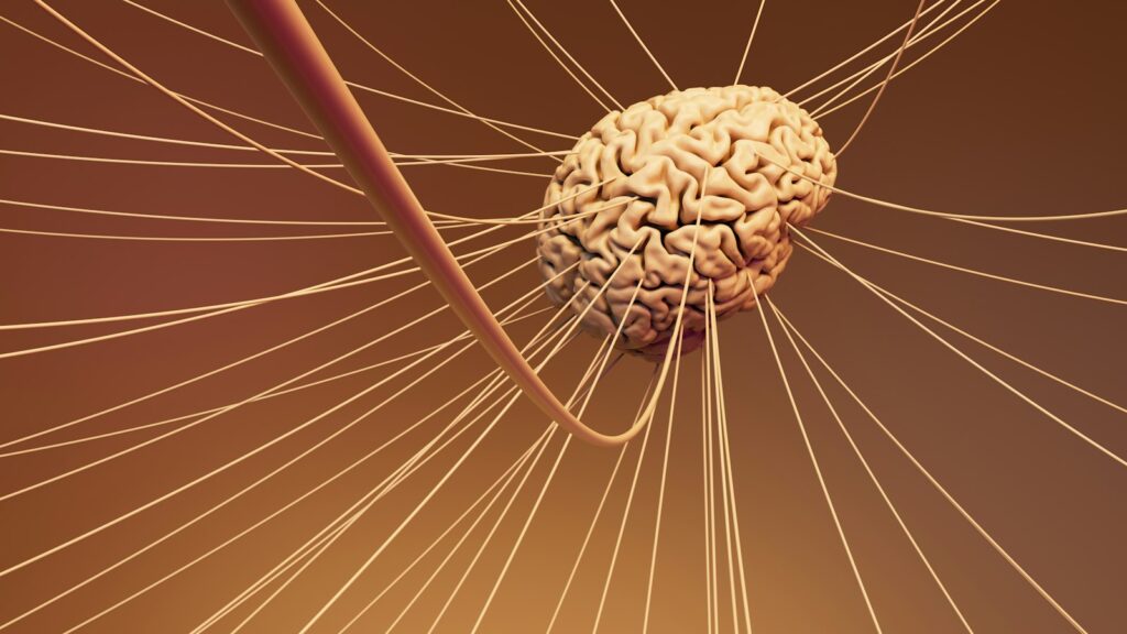 Computer-generated image of a human brain