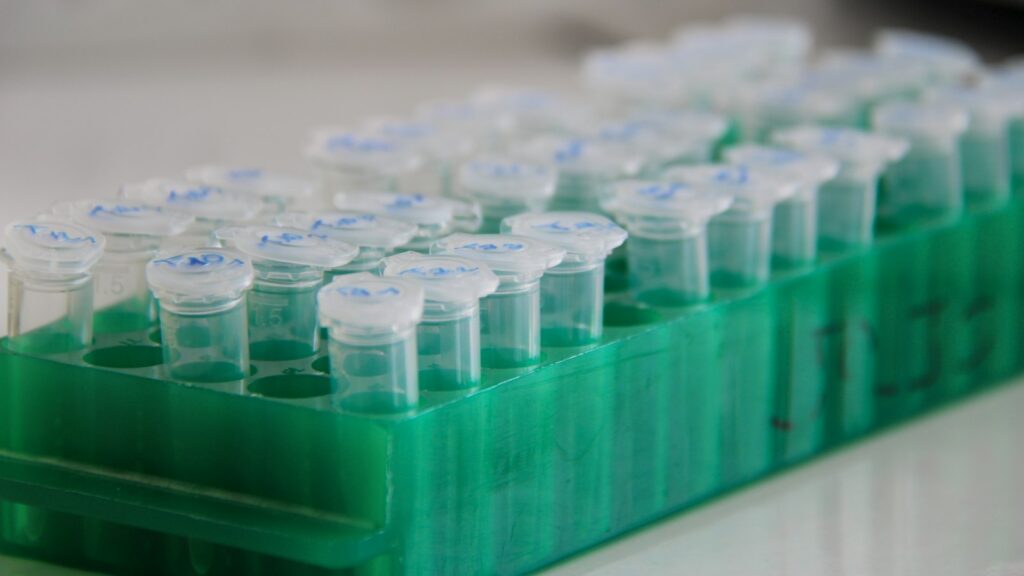Rows of microcentrifuge tubes in a tube rack in a science laboratory