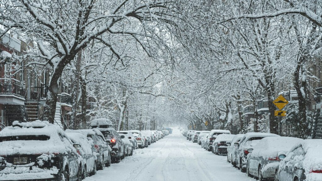 Shipping Research Peptides Through a Canadian Winter 1 Snow-covered road with cars parked along the side of a street in Montréal