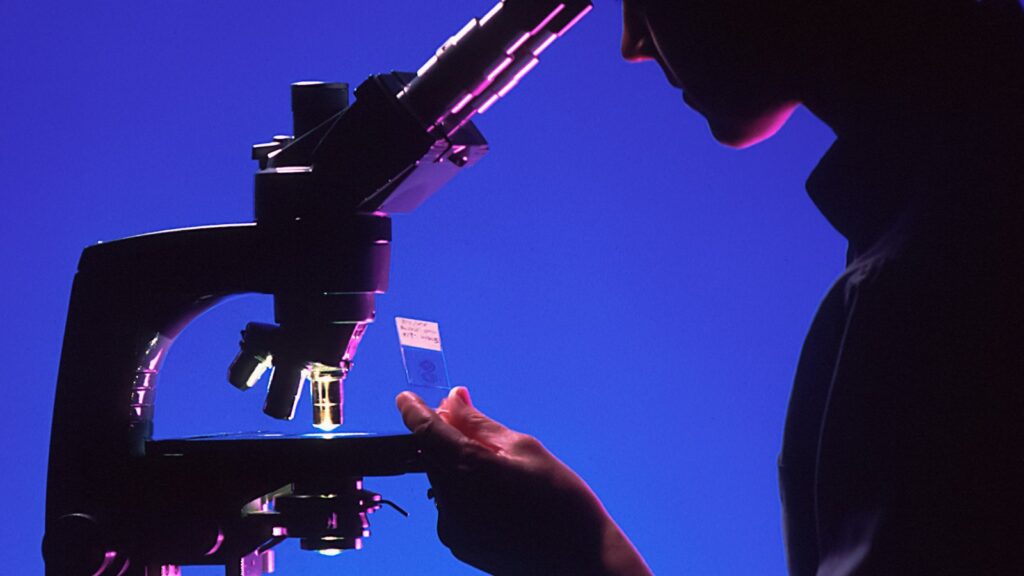 Thymus Peptides Explained: Thymosin Alpha-1, Thymulin, Thymogen and Thymalin 1 Silhouette of a researcher using a microscope